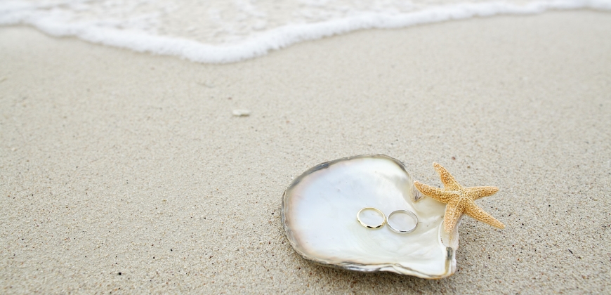 Picture of rings in a shell on the beach