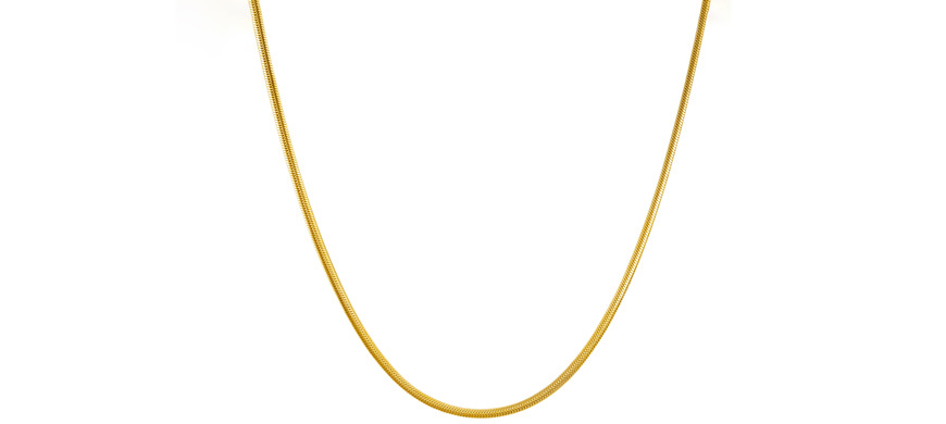 Gold snake linke chain