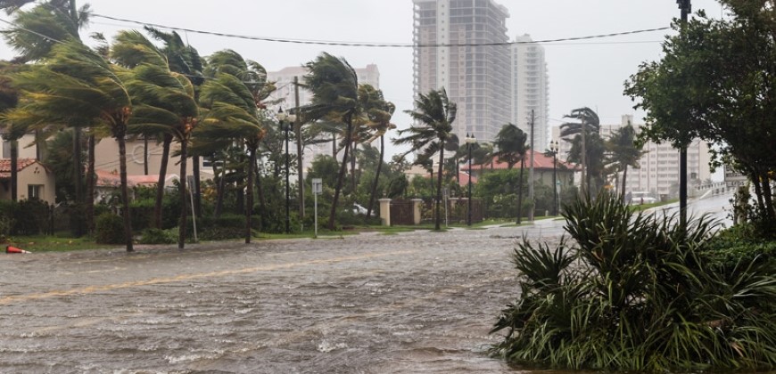Picture of a road after a hurricane