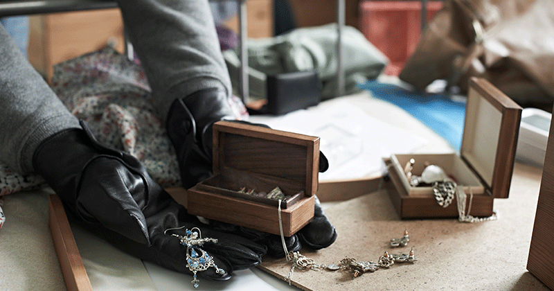 Jewelry Thief