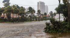 hurricane