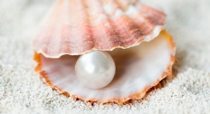 Pearl
