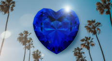 blue heart shaped jewel bordered by palm trees