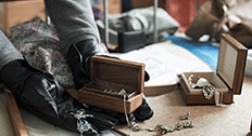 Jewelry Thief